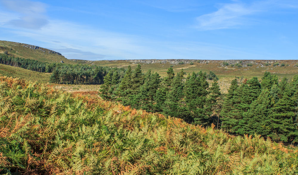 Burbage Rocks Burbage Rocks
